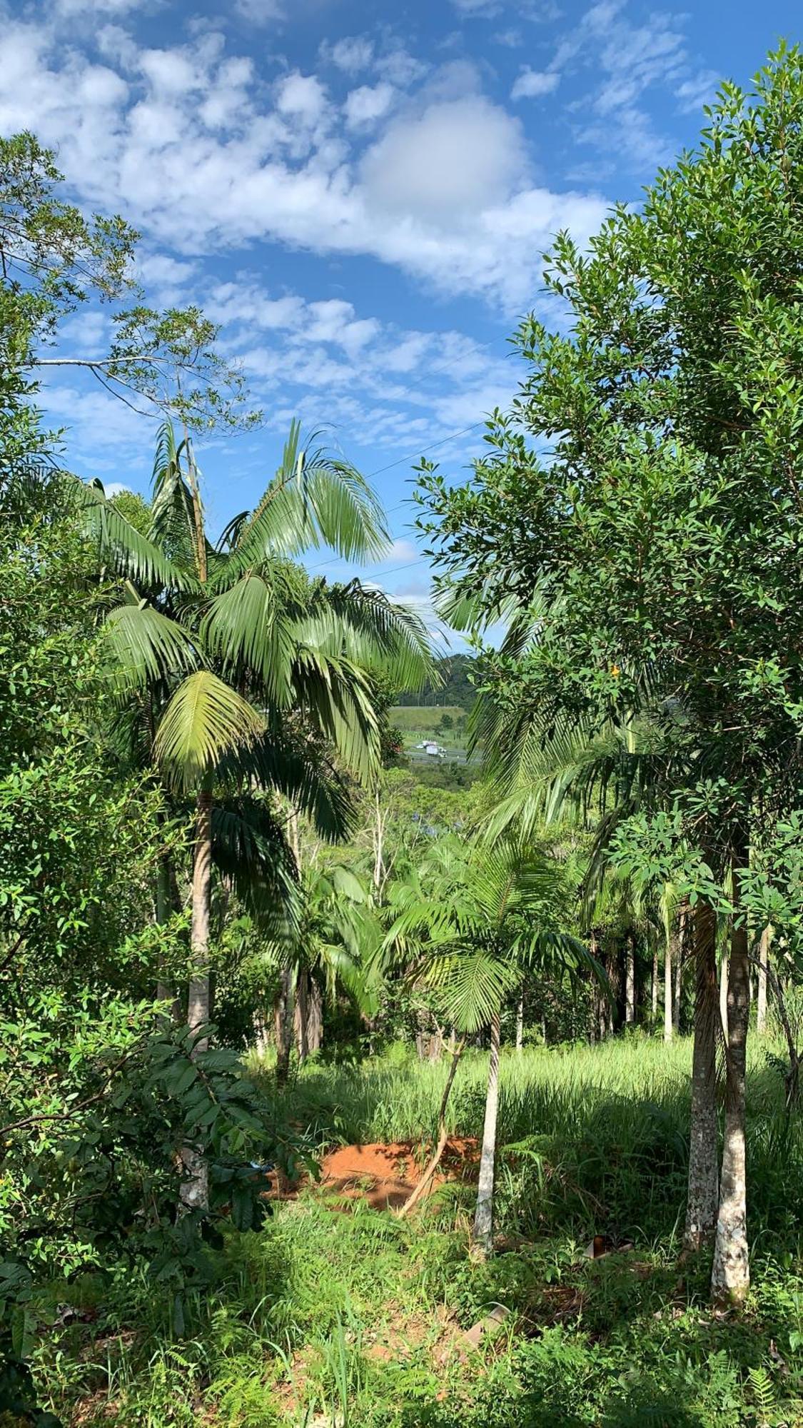 Pousada Vale Do Sol Pariquera-Acu المظهر الخارجي الصورة